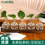植物水养水培客厅插花瓶