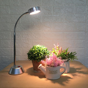 Full-Spectrum Plant Growth Supplementary Light Table Lamp for Money Tree Stems and Leaves, Succulent Plants, Flowers, and Aquatic Plants