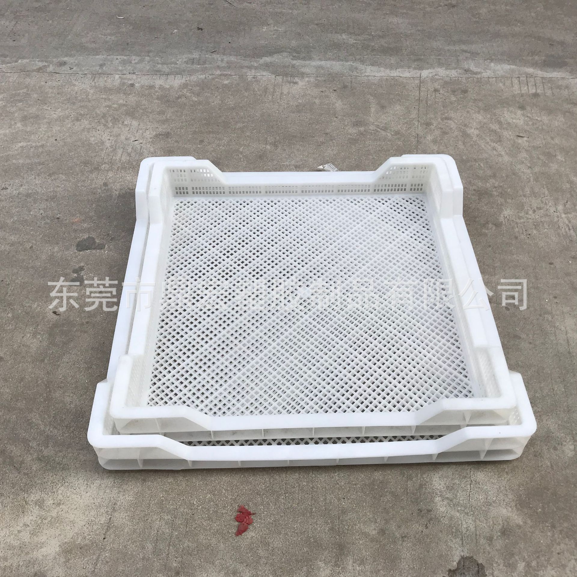 食品药材干果烘干盘冷库储藏耐低温冷冻盘 PP加厚塑料烘盘单冻器