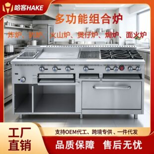 ��ʽ�M�Ϡt����ȼ��ը�t���Рt�B�ǎ����๦����ʽ�M�Ϡt�羳