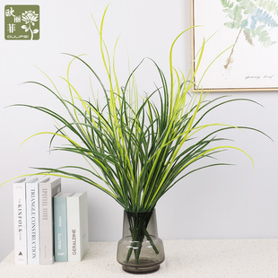 �����m���� ����1208С�� �Ҿ��b���ݺ����m�~�ӷ������[��