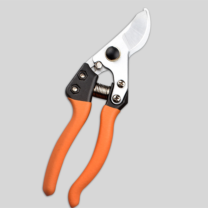 省力果树枝剪修枝剪刀粗枝剪树剪子剪枝剪刀修花枝剪家用园艺工具