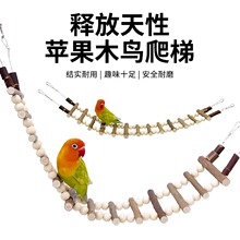 �W�^��Ʒ�����ǧ��Ƥĵ����ҧ������ˣ�␞�B����O��ľ��ݵ���