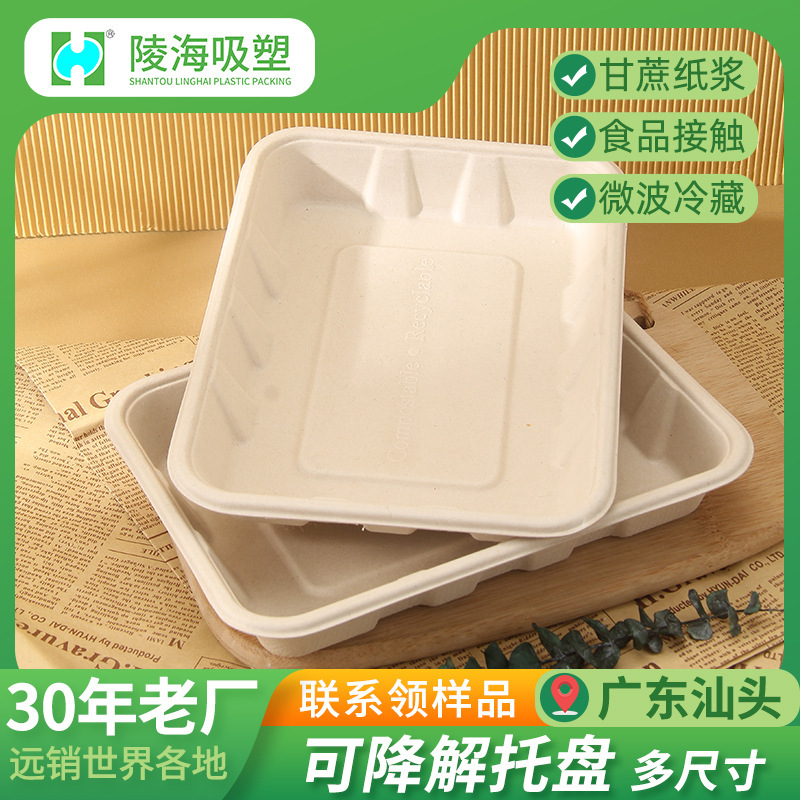 Disposable paper plate thickened degradable sugar cane barbecue tray fresh pork meat fruit and vegetable preservation plate picnic plate