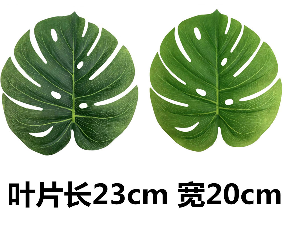 未命名_副本