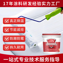 反辐射隔热涂料彩钢瓦厂房防锈粮仓屋顶外墙降温防晒防水隔热漆