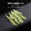 Monkey Leg Fern [12 tablets]