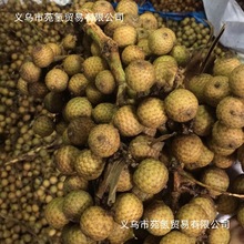 海南星月菩提子原籽原料佛珠同枝毛料带皮石玉高密