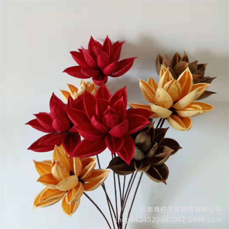 紫荆花 云南厂家批发禅意木莲花紫荆花组合艺术干花荷花果壳