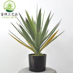 仿真綠植狐尾蘭龍舌蘭黃冠蘭盆栽造景組合植物盆景裝飾擺件批發