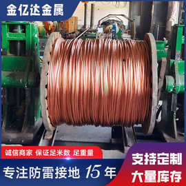 铜包钢绞线铜覆钢绞线70平方避雷接地母线50平方镀铜绞线