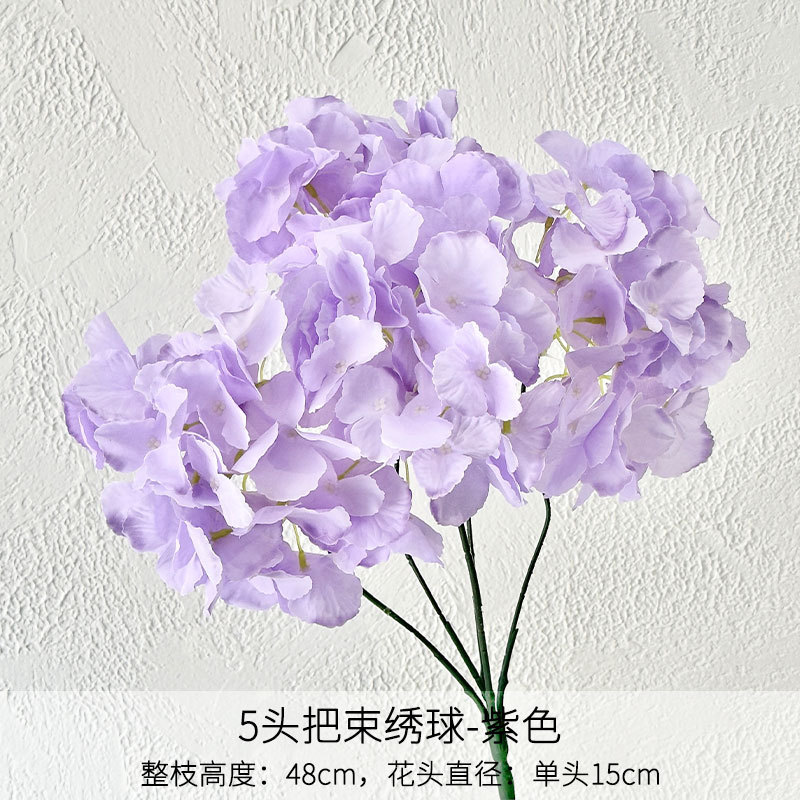 Hortensia de cinco cabezas moradas