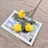 Ball chrysanthemum-yellow