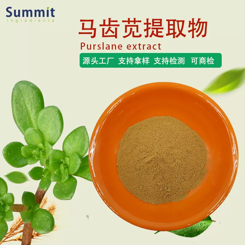 工厂现货马齿苋提取物水溶性药食同源固体饮料可拿样测试马齿苋粉