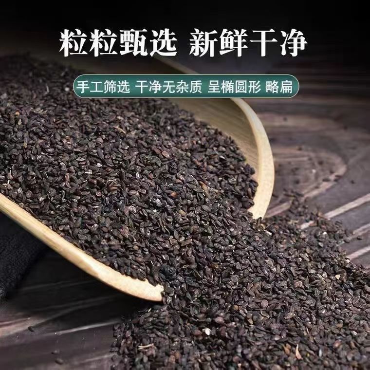 Dried Plantain Seed Che Qian Zi 500g Traditional Chinese Herb for Decoction and Tea quality and texture
