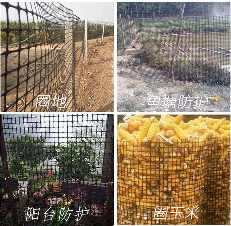 塑料网4