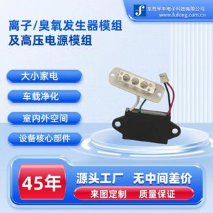 Dc Ozone Ionizer Dc5V Air Purifier Module Source Factory Negative Ion Generator
