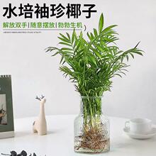 ����Ҭ��ˮ��ֲ�︻�FҬ�����ԾGֲ�҃�ˮ�B����ɢβ���^�~С�辰