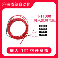 高精度温度验证PT1000传感器湿热热电阻探头型号RTD-S-6
