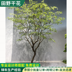 大型仿真绿植枫树庭院民宿马醉木装饰假树软装造景仿真羽毛枫榕树
