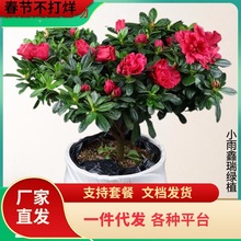 һ�����l�ļ����N�����Ԏ��������U���N�����Ϙ��L�ۻ����҃ȿ͏d