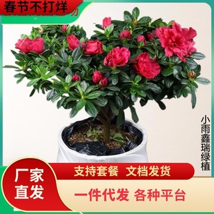 һ�����l�ļ����N�����Ԏ��������U���N�����Ϙ��L�ۻ����҃ȿ͏d