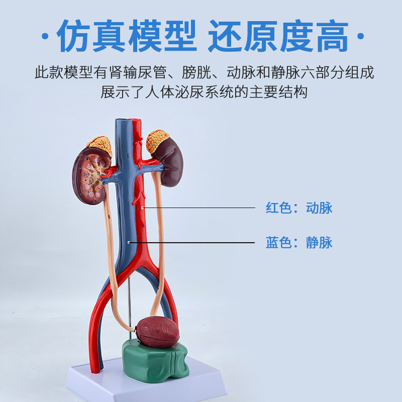 ��������ϵͳģ��  ����ϵͳ��������ܡ����׼����ģ�ͣ����壩