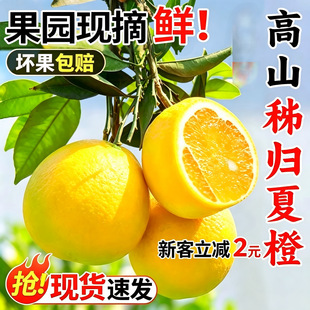 �������w�ĳ����rˮ�������m�Юa��ֱ�l�[��ե֭�r��������]����