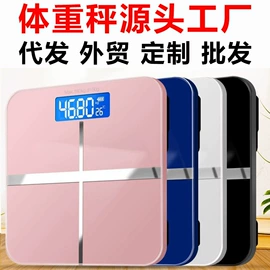 体重秤;健康秤;其他秤