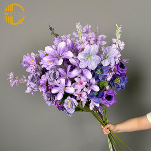 ��ɫ���滨��c�b廨��Y��Ʒ���������~����ɫ�ٻ���c��ˇ