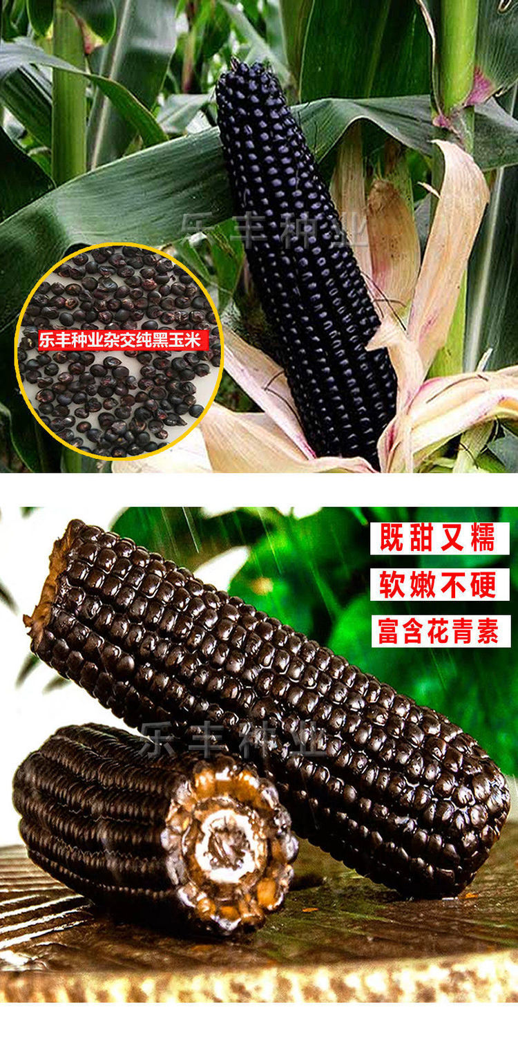 e316aed33e9c19d90a3d1a7d572f53