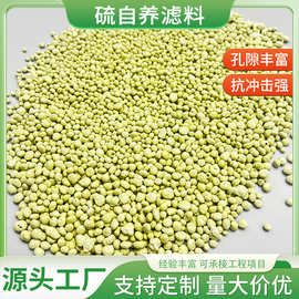 硫自养滤料工业反硝化脱氮除磷深床滤池填料市政过滤环保污水净化