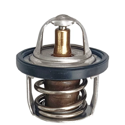 Ninja250R/300Versys-X300, Thermostat