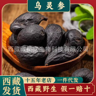 ����Ұ�����`����ș�ĸ�؛ ������ �u���� �u���ߞ��`֥����