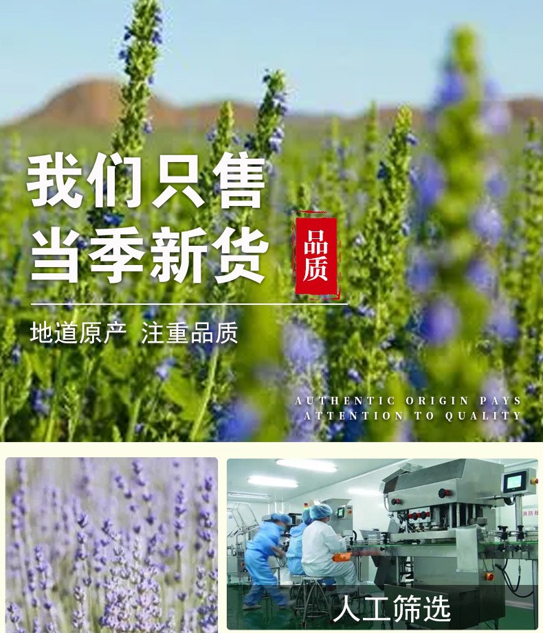 Chia Seeds (Salvia hispanica) — Dried Food Herb for Satiety Drinks & Daily Wellness specifications