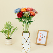 ��֦����õ��羳���L���յ��ߔ[���Ĕz������������������ʽ