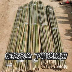 竹竿菜园搭架蔬菜黄瓜番茄豆角架杆竹篱笆栅栏小竹子细竹竿爬藤架