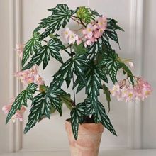 �V�~�ﺣ�İױ���ʿɽ�Ꭷֲ���r���Gֲ�����҃ȿ͏d���@