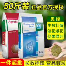 50ͨ1̖5̖WGA2m׼ጷ¼318s