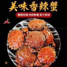 现在香辣蟹熟食小螃蟹麻辣蟹240g350g零食香辣蟹大闸蟹面包蟹海鲜
