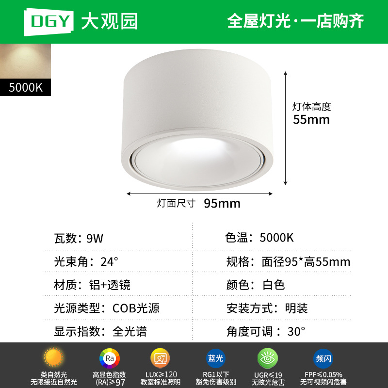 Da Guan Jardín luz de reflector anti-deslumbramiento colina sala de estar sin luz principal luz de techo downlight led corredor luz de techo 495L image 19