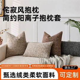 靠垫/抱枕;抱枕套;挂毯/壁毯