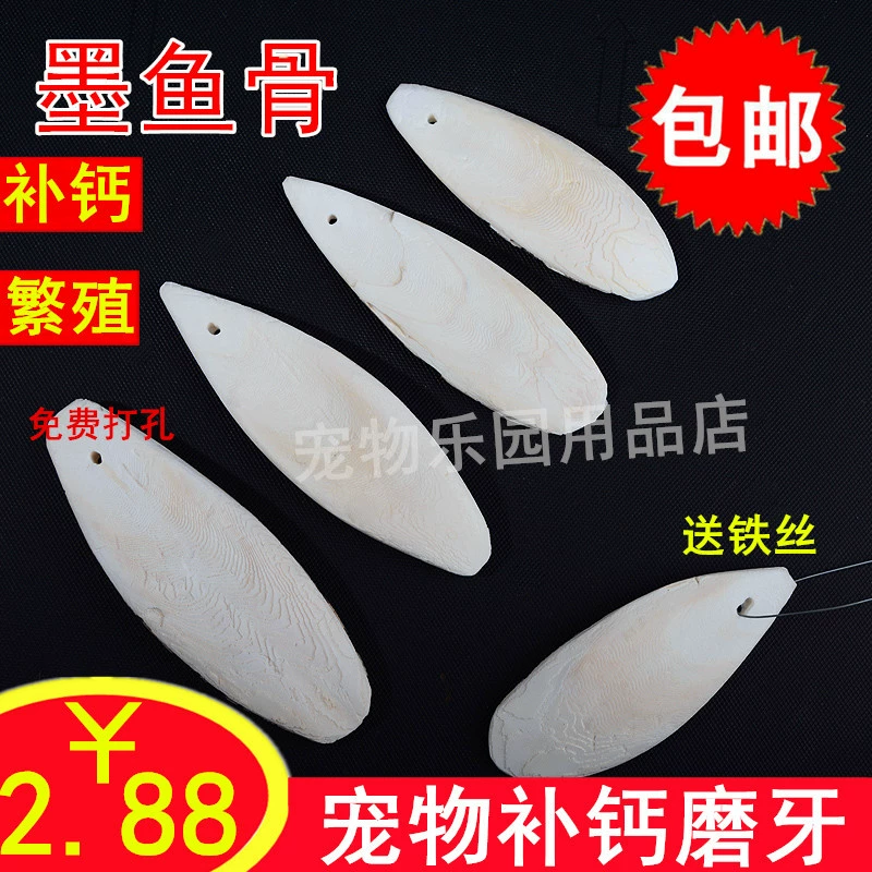 Костяная нить каракатицы Xuanfeng кожа тигра Пион попугай кальций коренные зубы поставки корма для птиц белка Укус игрушка бесплатная доставка