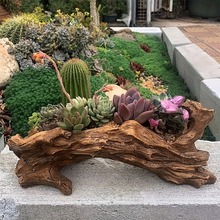 �羳���N��ľ�^��֬�����̨���Է��������⻨�����fľ����@