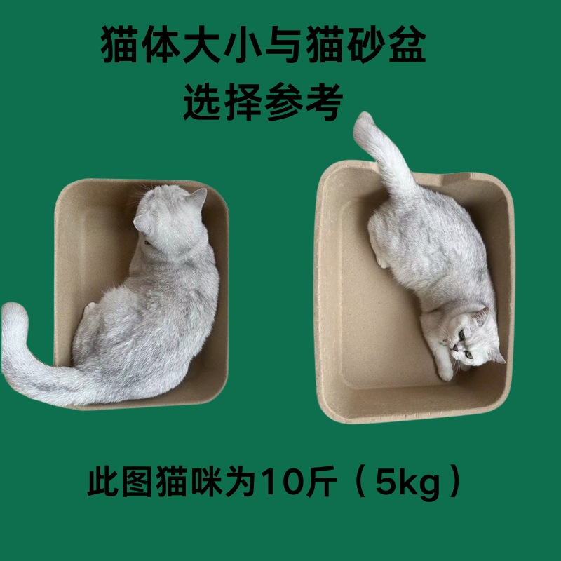 1688-猫体参考更新1017.jpg