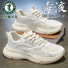 �W����ľ�B2026�¿��＾�����W���ϵ�Ь��͸��ٴ����\�����eЬ