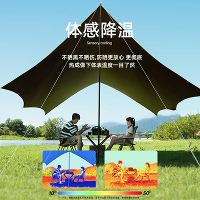 Avtomobil yan çətirləri: Black Glue-Coated Butterfly-Shaped Canopy