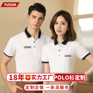 Customized Polo Shirt Summer High-End Lapel Work Clothes Cultural Advertising Shirt Short-Sleeved Work Clothes Embroidered Printed Logo