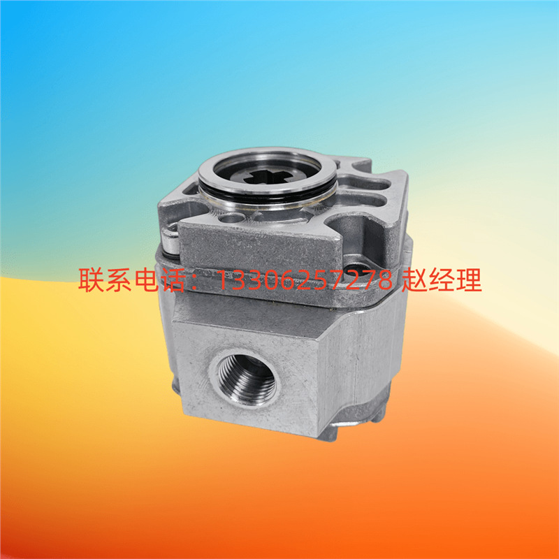 CAPRONI卡普罗尼齿轮泵20/18 10C2X053M林德叉车20A11X072全新