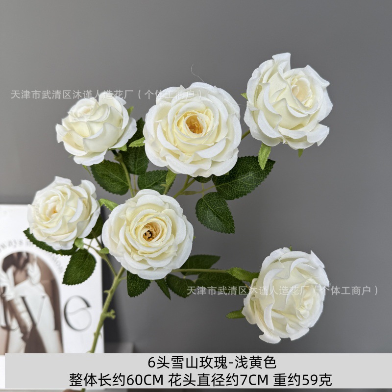 6송이 설산 장미